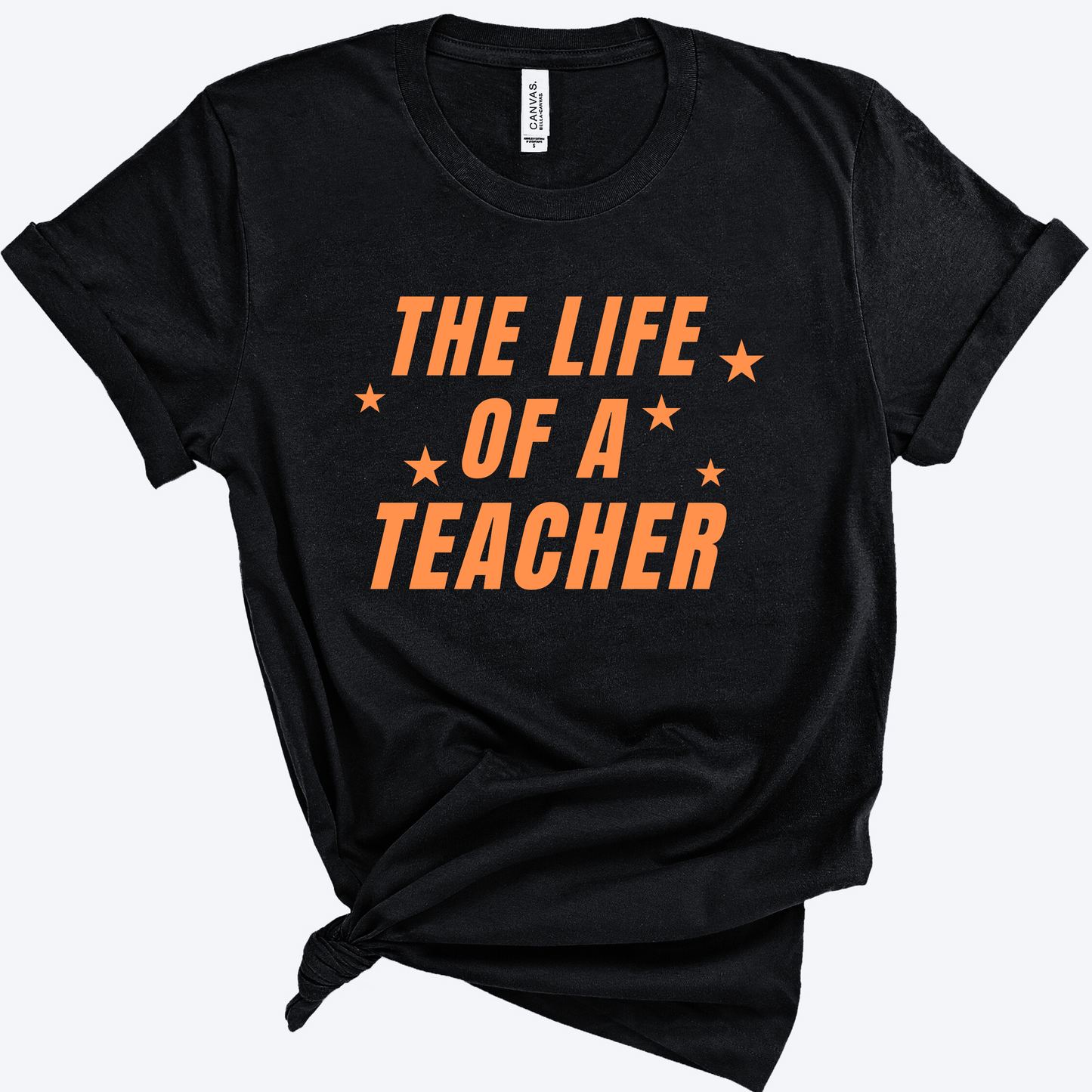 Swiftie, Taylor Swift shirt, parody teacher shirt, teacher gift